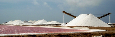 Saltproduksjon