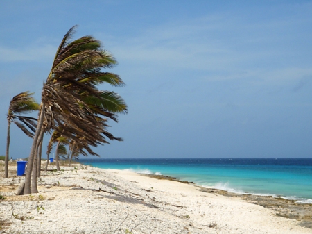 Det blåser på Bonaire